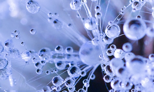 2022年最后一天的感言说说句子