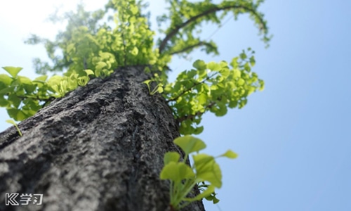 个人简历自我评价简短 个人简历自我评价10篇