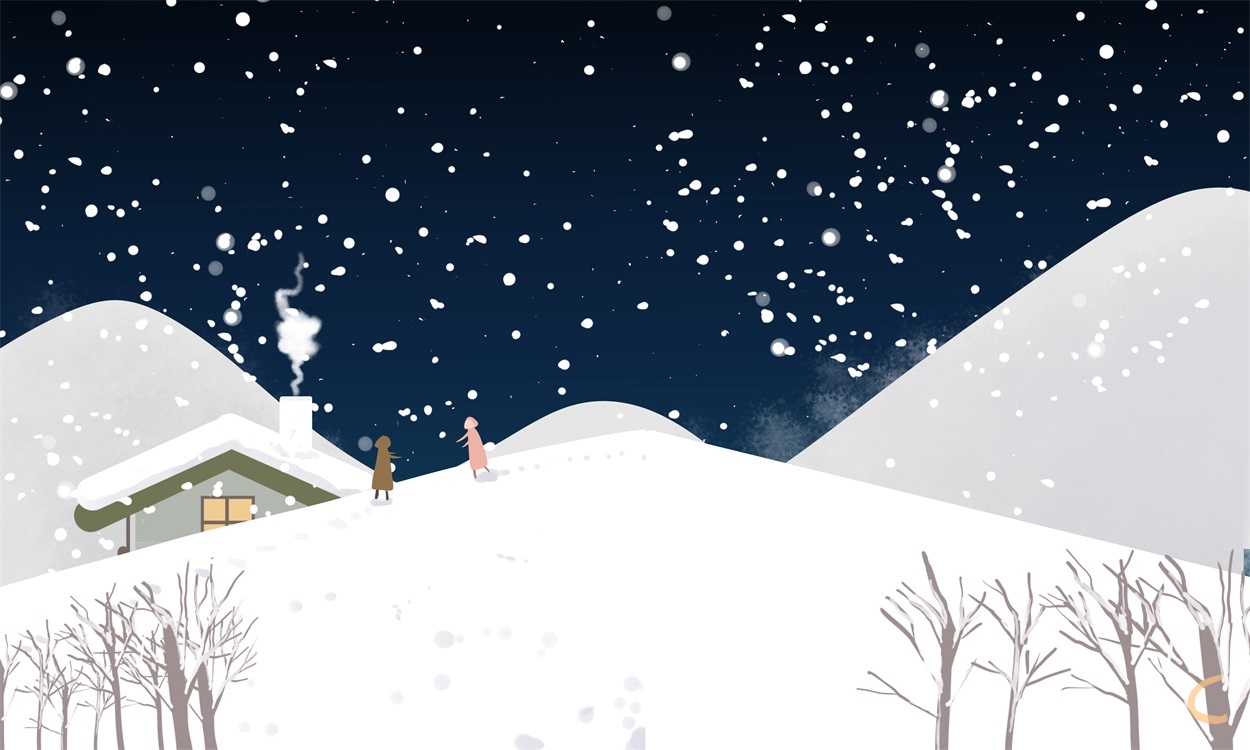 介绍雪花作文说明文