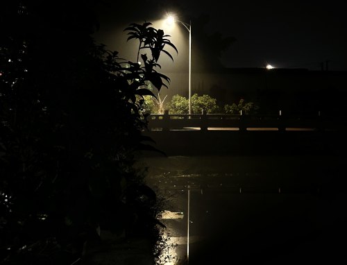 熬夜的坏处说明文五篇 熬夜的坏处说明文五篇