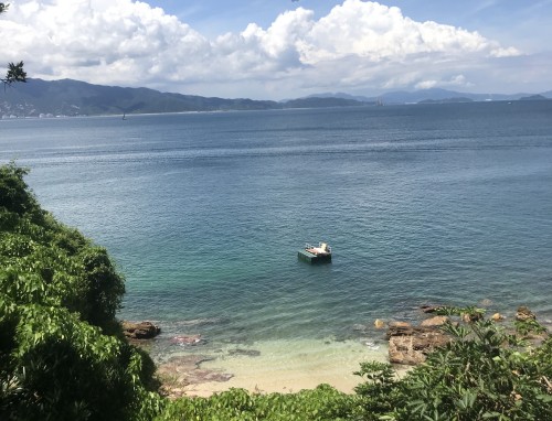 2023干部辞职申请书范文简短5篇