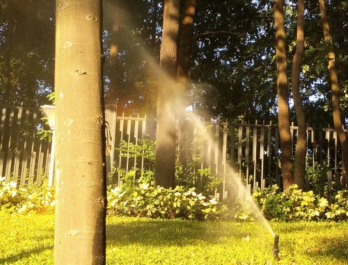 2022期待夏天的朋友圈说说文案