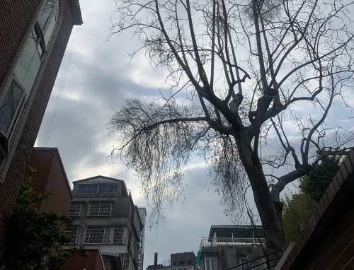 抑郁症的表现症状_抑郁症的特征和表现 抑郁症的表现症状_抑郁症的特征和表现